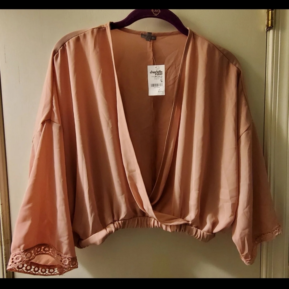 Charlotte Russe crop top